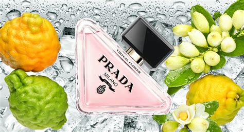 prada flower print|Prada paradoxe flower.